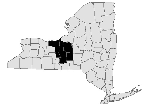 Map illustration of New York state with Cayuga, Cortland, Onondaga, Seneca, Tompkins and Wayne counties highlighted